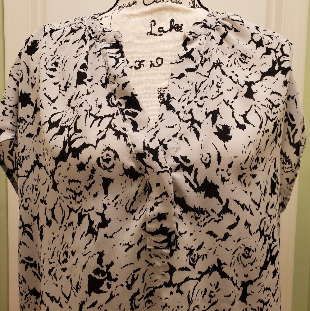 Violet & Claire V-neck Blouse